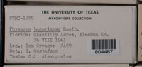 Image Associated With the Occurence